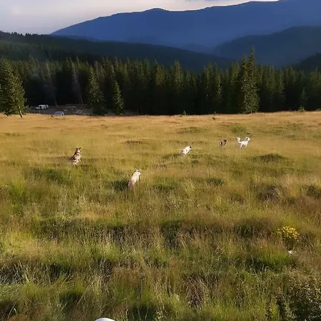 Piatra Rancii Gasthuis Ranca
